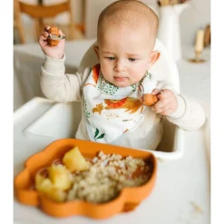 Silicon Snack Plate - Lion