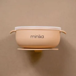 Silicone Bowl With Lid