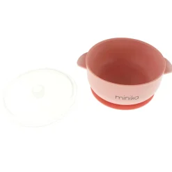 Silicone Bowl With Lid