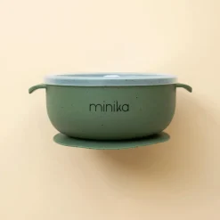 Silicone Bowl With Lid