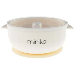 Silicone Bowl With Lid