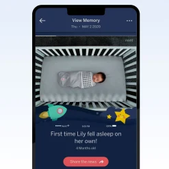 Smart Sheet One-Pack - Pink