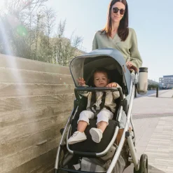 Snack Tray Vista/Cruz