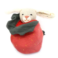 Strawberry Rabbit