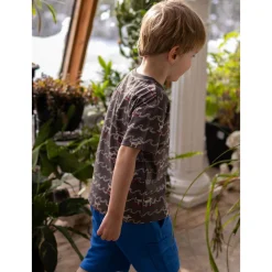 Surf Dogs T-shirt 2-8y