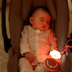 Sweet Dreamz On The Go- Pink Cat