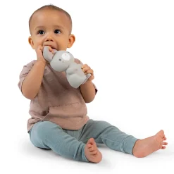 Sylvi Natural Rubber Teether Toy