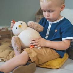 The Hen Musical Friend