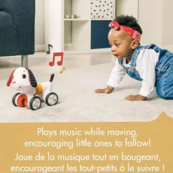 Tiny Rocker Follow-Me Toy - Dog