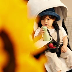 Tray Fox/Donkey/Kangaroo