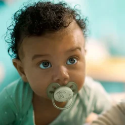 Ultra Soft Pacifier 0-6m Toucan / Green Leaves 2-pack