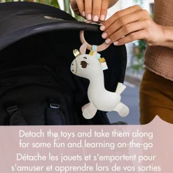 Unicorn Developmental Gymini