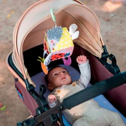 Urban Garden Activity Cube