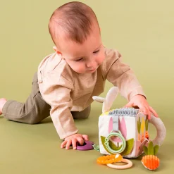 Urban Garden Activity Cube