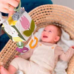 Urban Garden Activity Cube