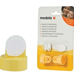 Valves And Membranes