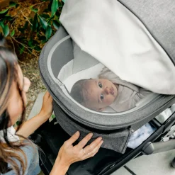 Vista/Cruz V3 Bassinet - Greyson