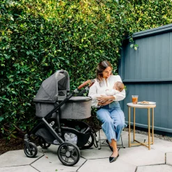 Vista/Cruz V3 Bassinet - Greyson