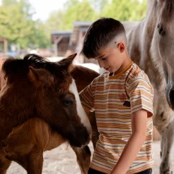West Striped T-shirt 2-12
