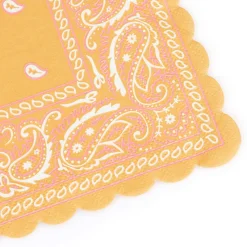 Western Small Napkins (16)