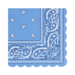 Western Small Napkins (16)