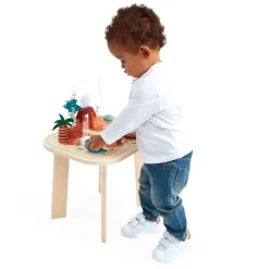 Wooden Activity Table - Dino