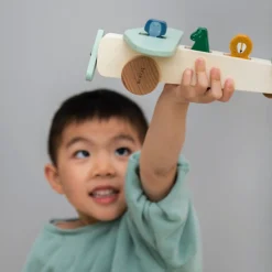 Wooden Animal Airplane