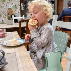 YummiGo+ Feed & Go Booster – Light Green Ash